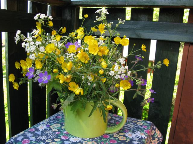 [IMG_0984+(Small).jpg]