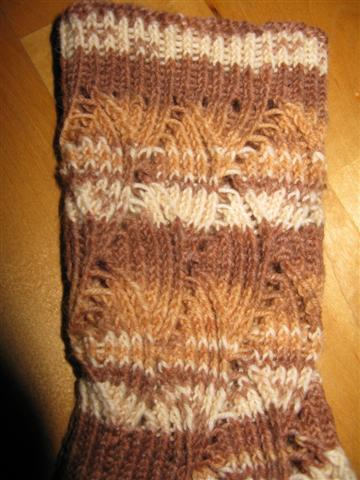 [IMG_5028+(Small).jpg]