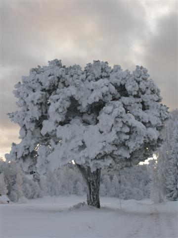 [IMG_5533+(Small).jpg]