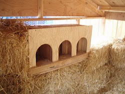 chicken straw bale coops baseline