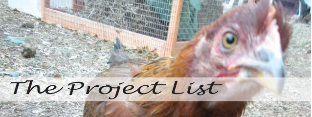 The Project List