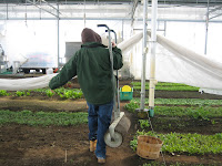 Have You Ever Picked A Carrot?: Till, Rake, Rattle and Roll: Amending A ...
