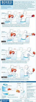 sport world: Basic Boxing Punches