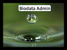 Biodata Admin