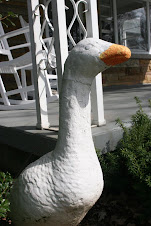 my goose