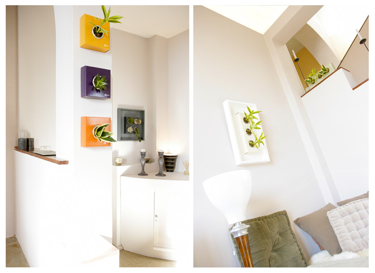 [FlowerBox-4w.jpg]