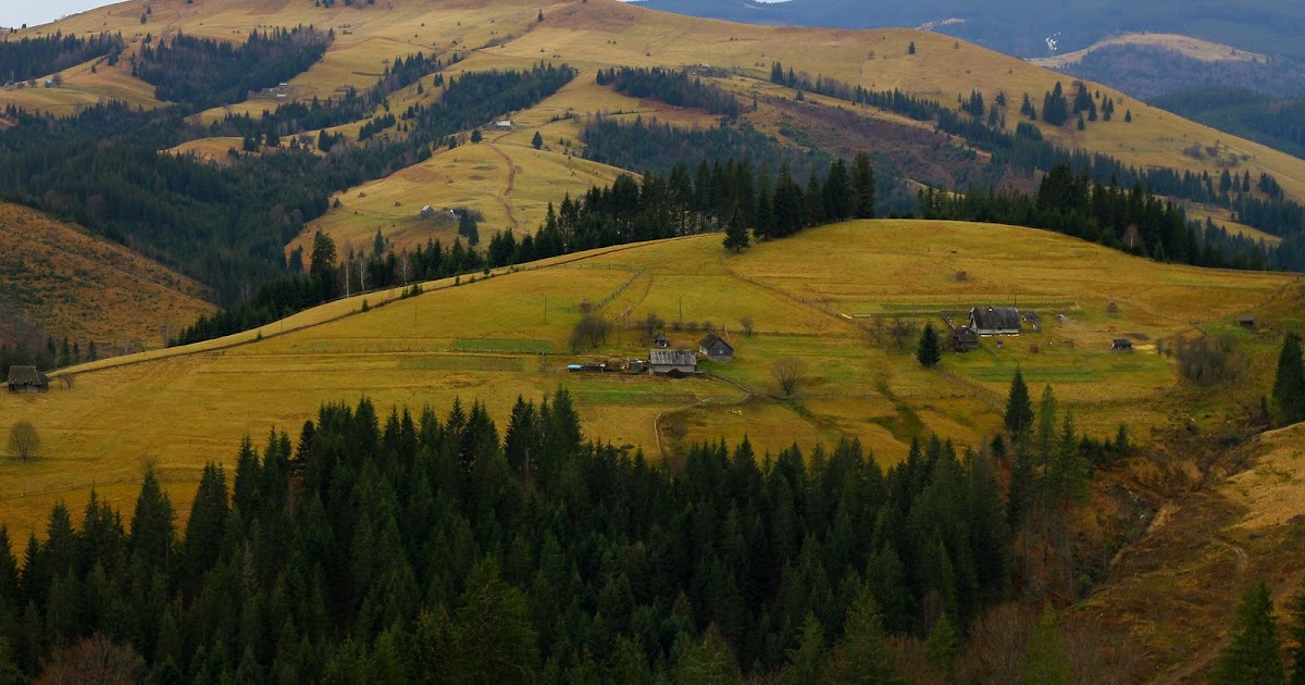Карпаты Буковина
