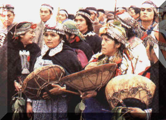 mapuches