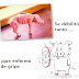 humor gripe porcina: crisis y gripe del cerdo