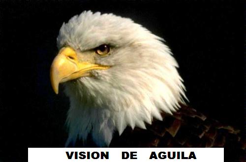 SE UN VENCEDOR