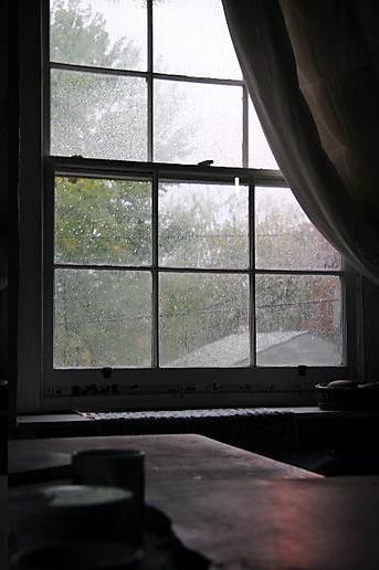 [morning+rain.jpg]