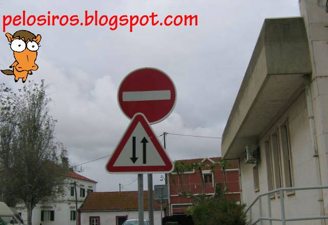 [sinais_edited-1.jpg]