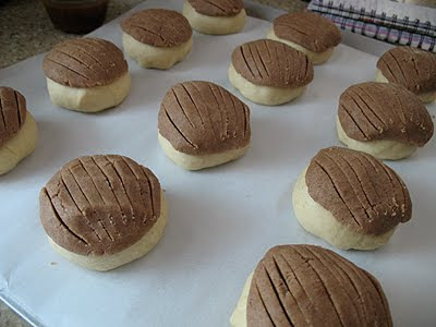 A photo of unbaked conchas.
