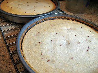 A close up photo of two vanilla bean mulberry cakes resting on a cooling rack.