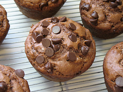 A close up photo of chocolate chocolate chip muffins on a cooling rack.