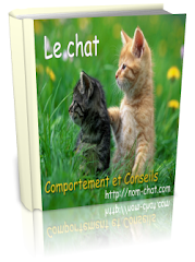 Cadeau de bienvenue Ebook Chat