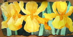 Yellow Iris Trio
