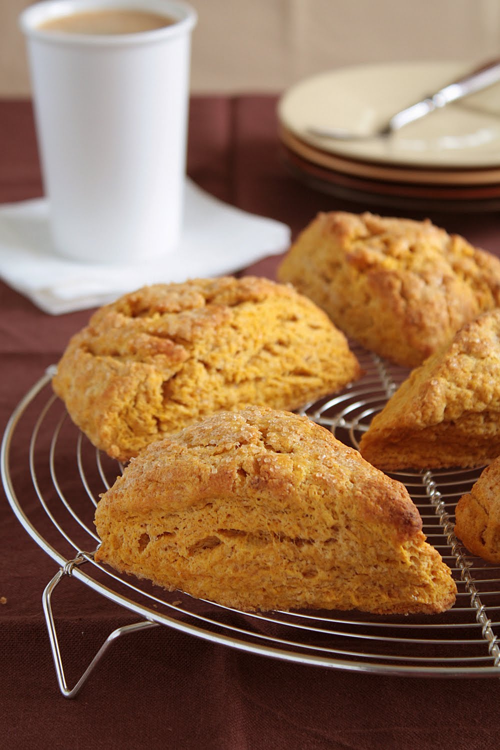 Hungry Cravings: A Thanksgiving Recipe Roundup and Pumpkin Spice Scones