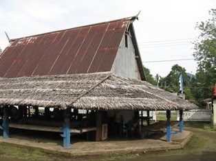 Download this Provinsi Papua Rumah Adat Tradisional Honai picture