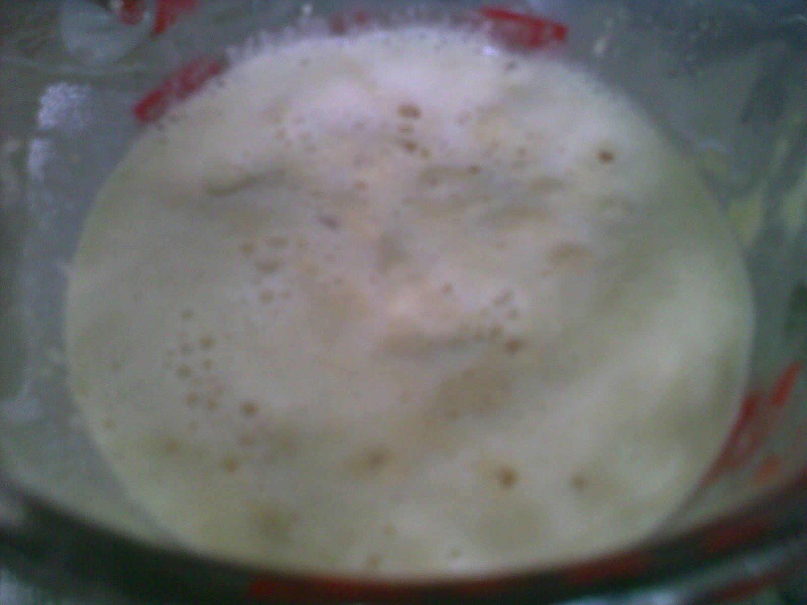 instant yeasts and active dry yeast in bread making