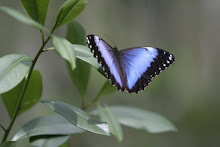 Estrada para o Buraco do Padre