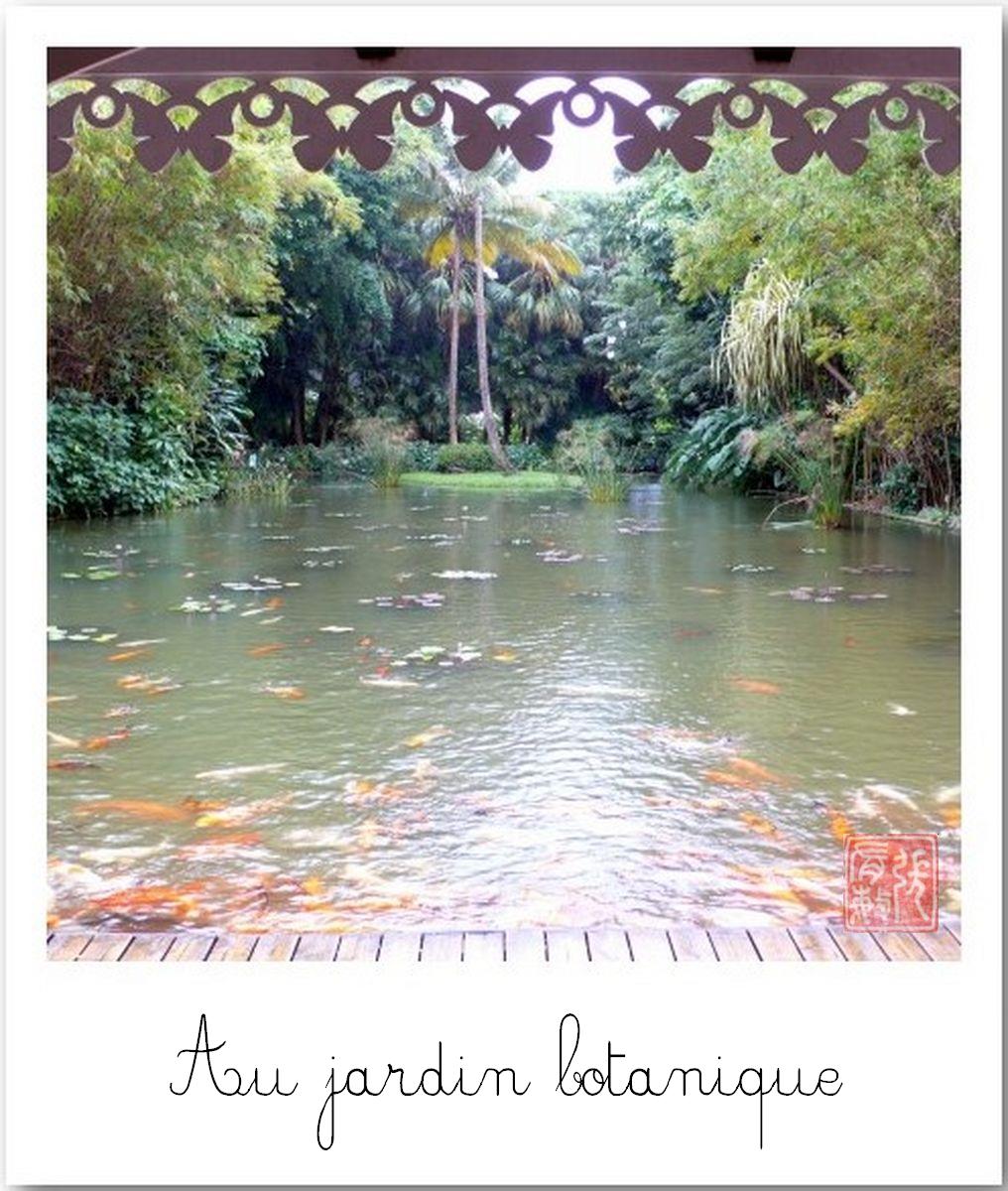 [Guadeloupe+02+Jardin+botanique+[1600x1200].JPG]