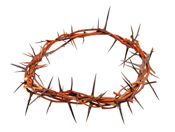 welcome-a-crown-of-thorns