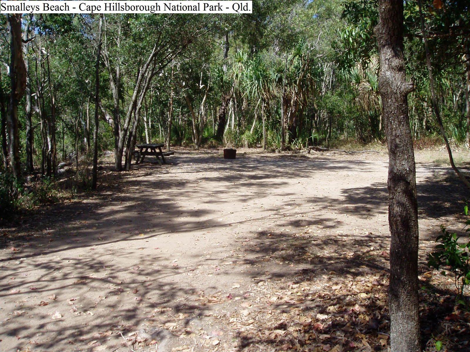 Nannapop Queensland Return to Main Site 14th October 2008 Smalleys