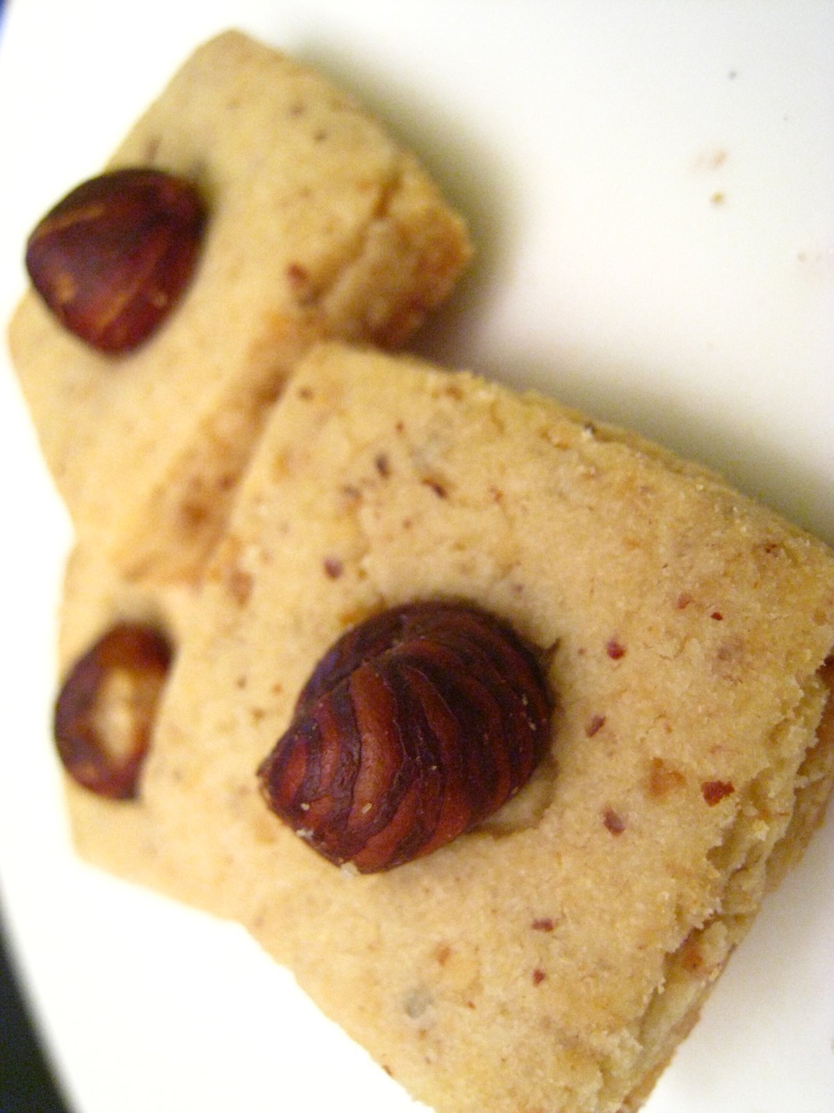 [Hazelnut+Squares.JPG]