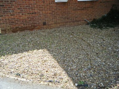 Front Garden : After