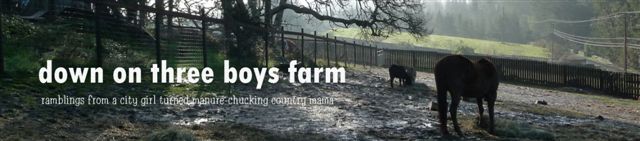 down on three boys farm