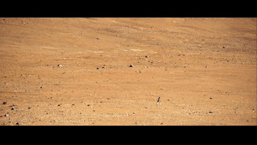 [QUANTUM_OF_SOLACE-23.jpg]