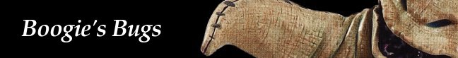 Boogie's Bugs