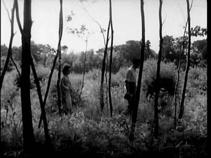 The Film Sufi “The Lady of Musashino” Kenji Mizoguchi (1951)