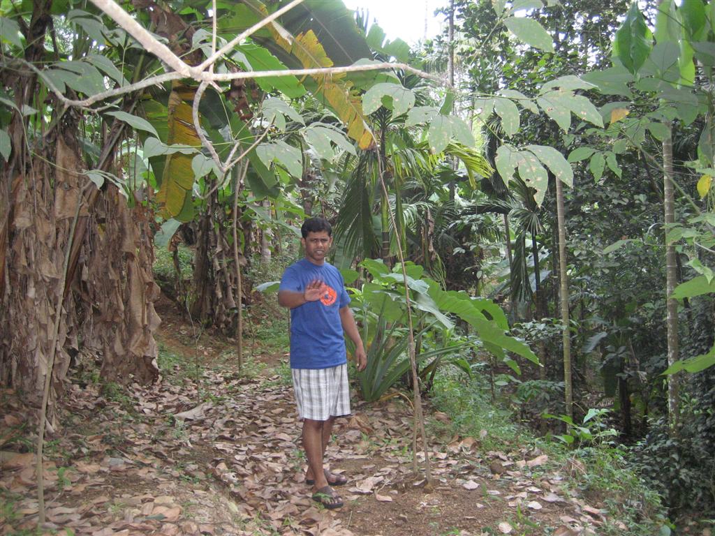 [Pictures+from+India+067+(Large).jpg]