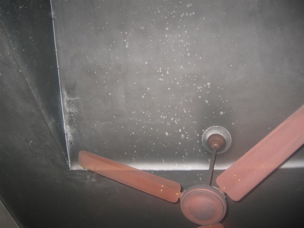 [Pictures+from+India-Ghee+194+(Large).jpg]