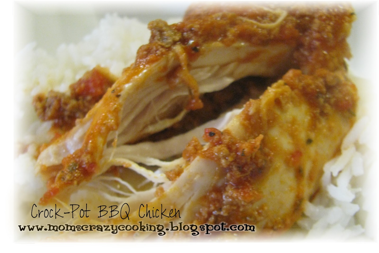 MOMS CRAZY COOKING CrockPot BBQ Chicken or CrockPot Salsa Chicken or