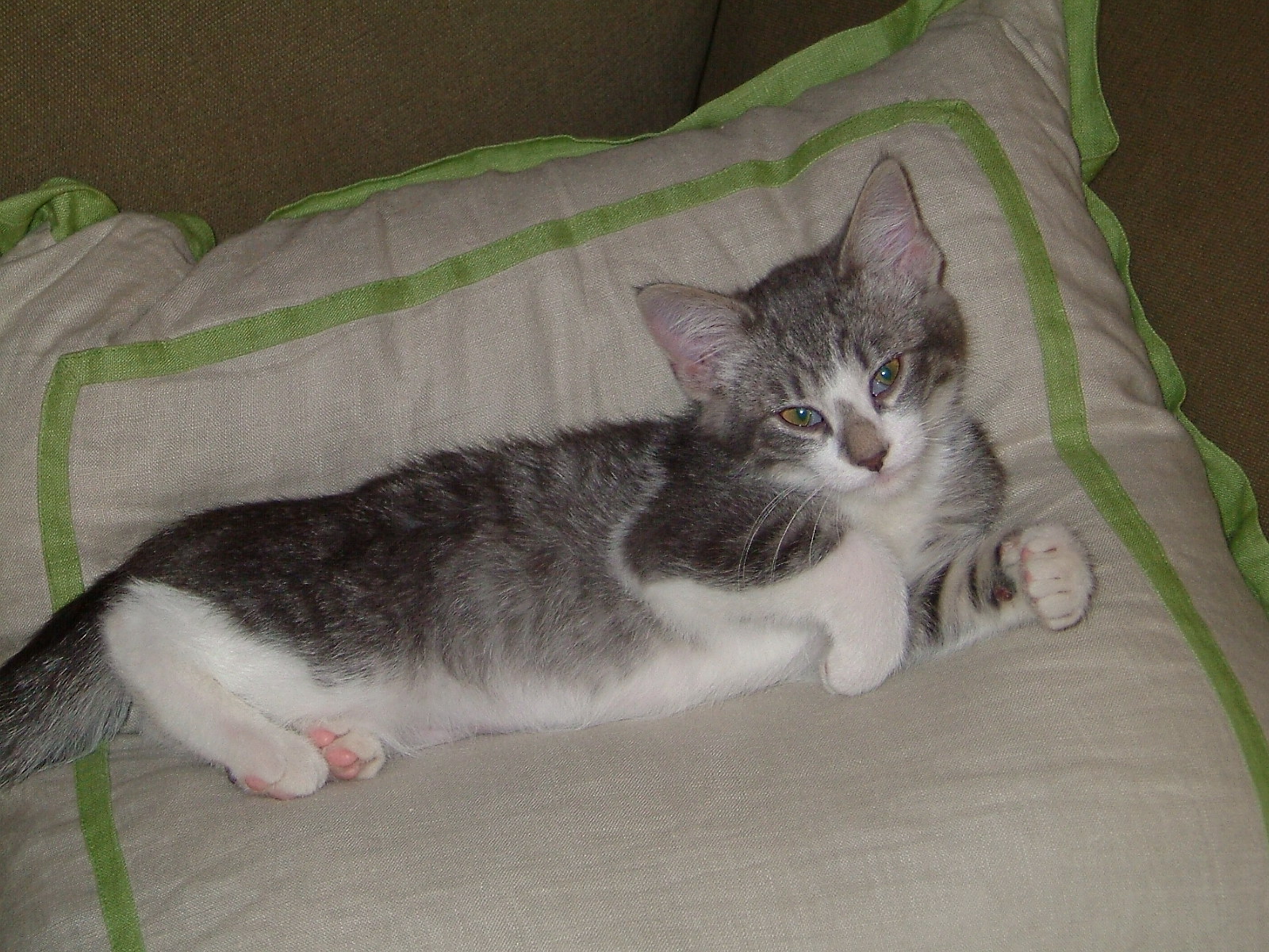 [Gatlinburg+trip+05-07+019.jpg]