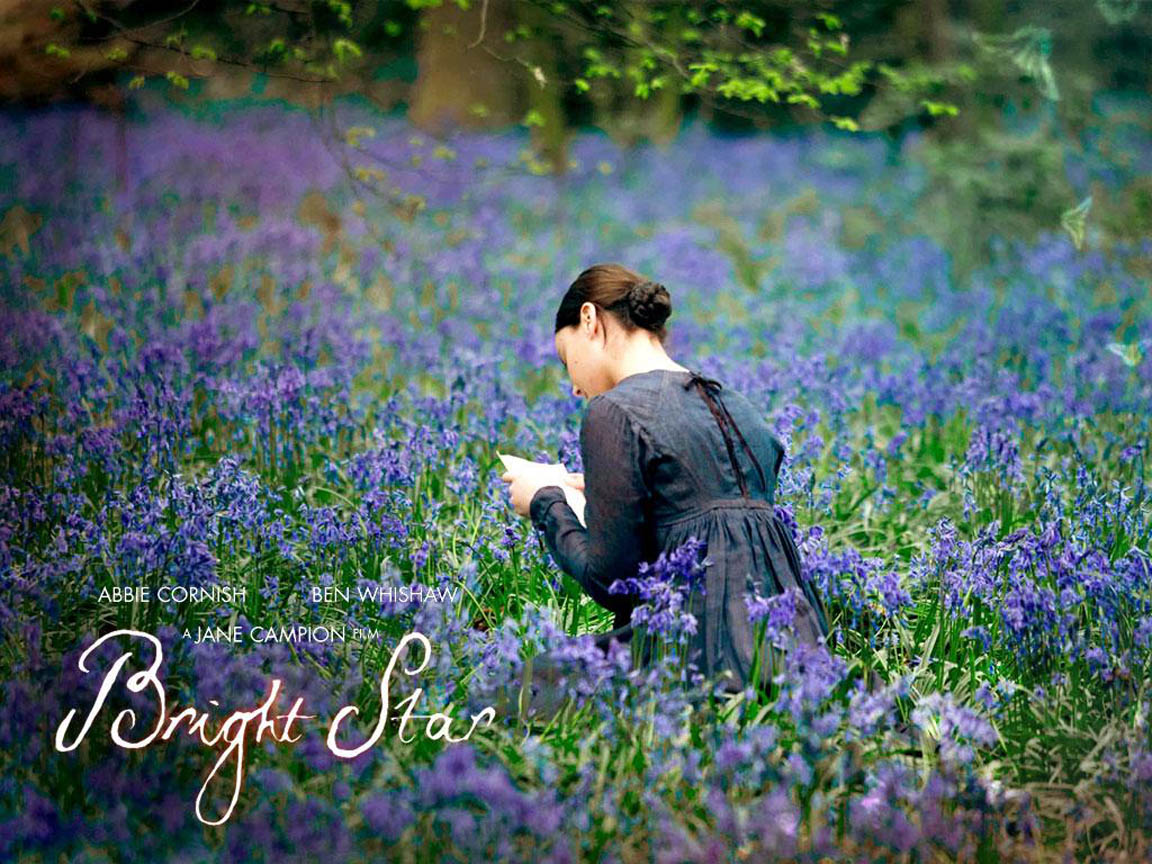 [bright-star-730-4.jpg]