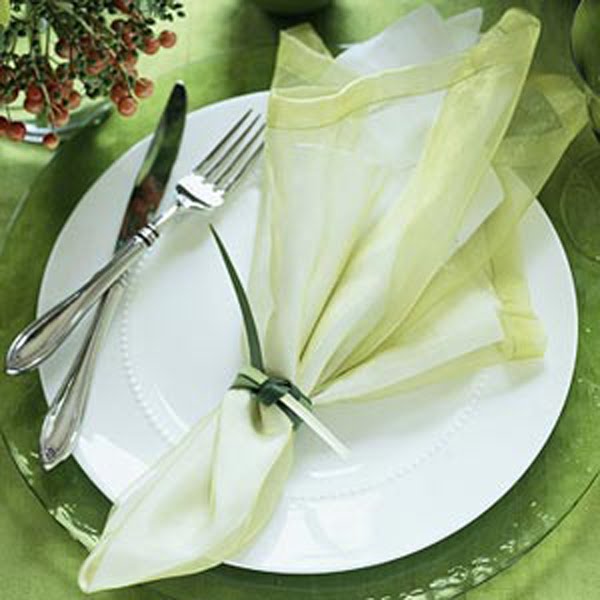 [green+slip+over+napkin.jpg]