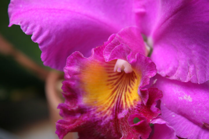 [The+big+move+take+2+210.jpg]