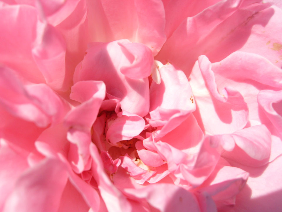 [The+big+move+etc+061.jpg]