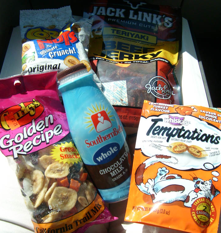 [The+big+move+etc+099.jpg]