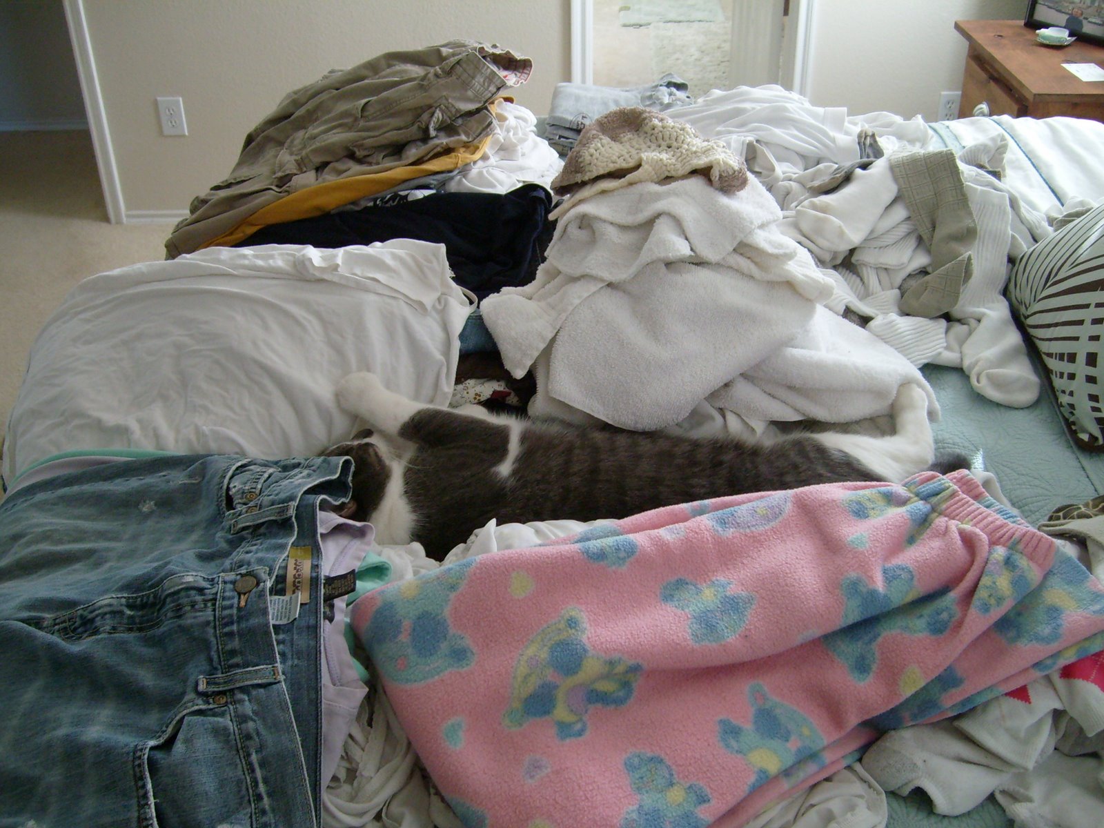 [November+2008+042.jpg]