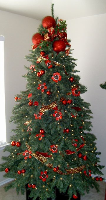 [December+2008+b+011.jpg]