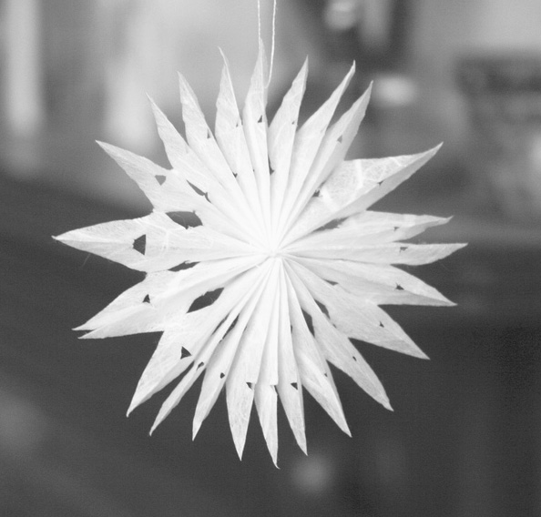 [4174165642_1caecf47f2_b.jpg]