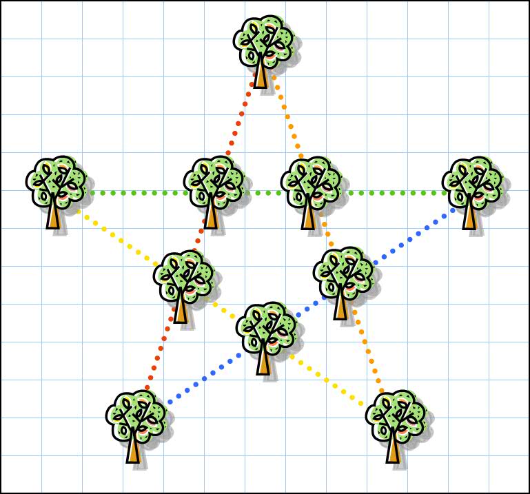 [10trees5rows.jpg]