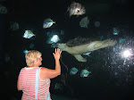 Virginia Beach Aquarium