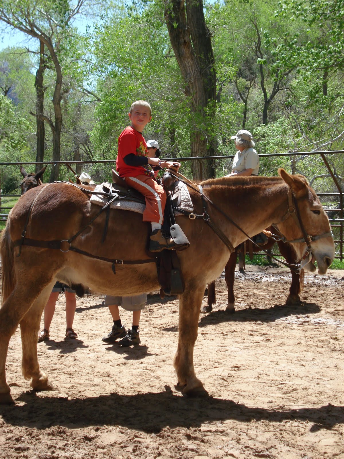 Stafford's On The Road Zion National Park (Horseback Ride), Utah