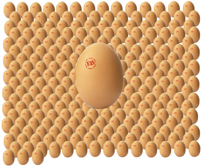 270 eggs